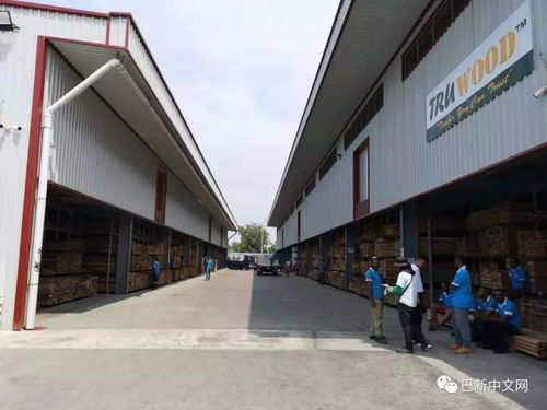 廣告專版 leon hardware 7 mile 五金建材大型超市開張營業(yè)